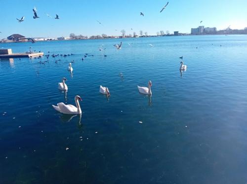 Cum va fi vremea în Dobrogea, în următoarele două săptămâni! Când sunt așteptate ploi la malul mării