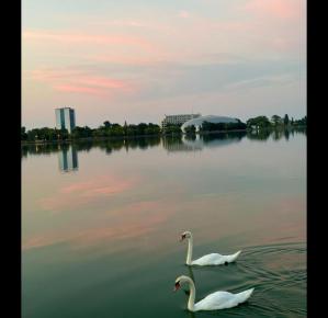 #ConstanțaEsteBine 12 martie 2025. Zi de miercuri, mijloc de săptămână, cu doar două zile înainte de luna plină