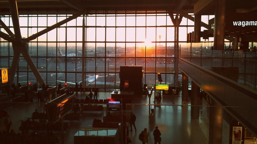 O femeie si-a ucis cainele intr-un aeroport. Ce a impins-o sa faca acest gest de cruzime?