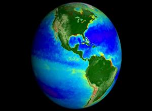 „Ora Pământului”, eveniment susținut și de Garda de Mediu Constanța