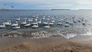 Anunț de ultimă oră al ANM! Cum va fi vremea în Dobrogea în următoarele două săptămâni