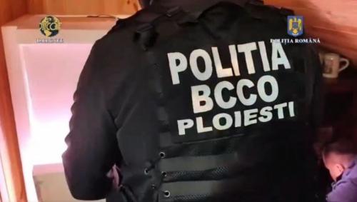 Percheziții Doi bărbați din Ploiești, arestați preventiv pentru trafic de droguri (VIDEO)