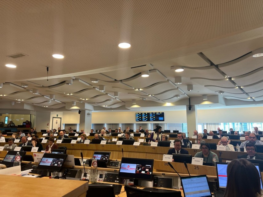 mariana gaju primarul comunei cumpana la sesiunea plenara a comitetului european al regiunilor in calitate