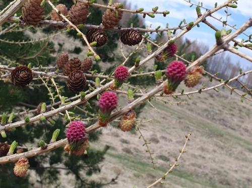 #ConstanțaEsteBine 7 aprilie 2025. Început de săptămână, ce ne impinge ușurel spre luna plină de pe 12 aprilie