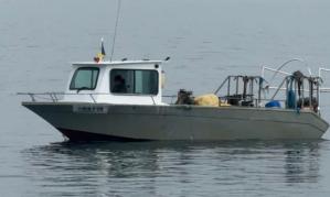 Garda de Coastă Un pescador neînregistrat, propulsat de un motor furat, cu sute de kg de peşte la bord, depistat de polițiștii de frontieră (FOTO+VIDEO) 
