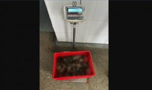 Peste 700 kg de pește confiscate de polițiști în urma unor acțiuni în județele Constanța și Tulcea (VIDEO)