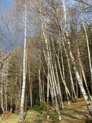 #ConstantaEsteBine   21 aprilie 2025. Astăzi este despre a sta cu noi înșine