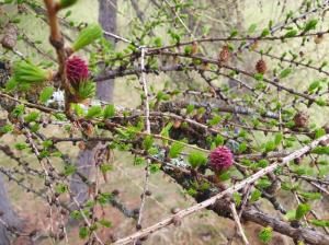 #ConstantaEsteBine 22 aprilie 2025. Astăzi este despre observarea dualității minții și a Naturii 