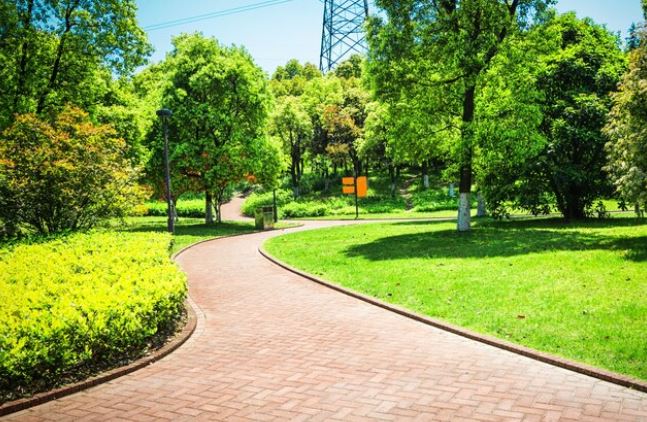 Parc, foto cu rol ilustrativ, Sursa: Freepik
