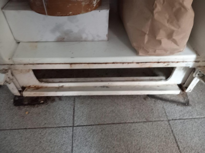 Sursa galeriei foto: CJPC Constanța