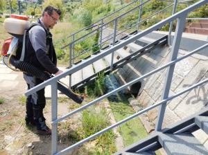 Licitații publice. Primăria Constanța caută o firmă care să gestioneze activitățile de dezinfecția și tratamente fitosanitare. Contractul depășește 73 de milioane de lei 