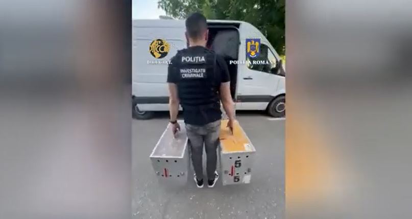 Sursa foto: Captură video/ Poliția Română
