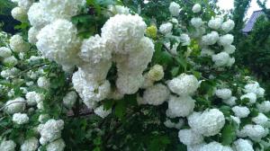 #ConstanțaEsteBine 18 mai 2025. O zi de duminică, cu odihnă și contemplare