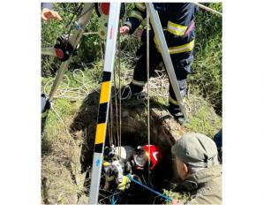 Știri Constanța FOTO-VIDEO. Câine salvat de pompierii ISU Dobrogea după ce a căzut într-un canal, la intrare în Cumpăna 