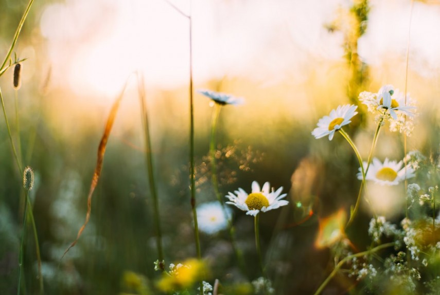 foto: Unsplash