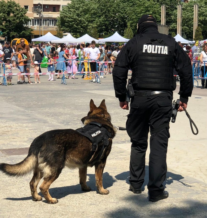 Sursa foto: Facebook/ Consiliul Județean Tulcea