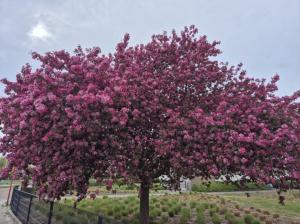 #ConstanțaEsteBine 24 mai 2025. Zi de final de săptămână, cu reducerea ritmului obișnuit și timp pentru reflecție