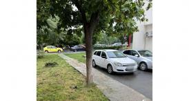 Constănțeanul supărat Mașina acoperită din nou de resturi vegetale în parcarea de la Abator, Constanța - „Se pare că pe nimeni nu interesează problema asta” (FOTO+VIDEO) 