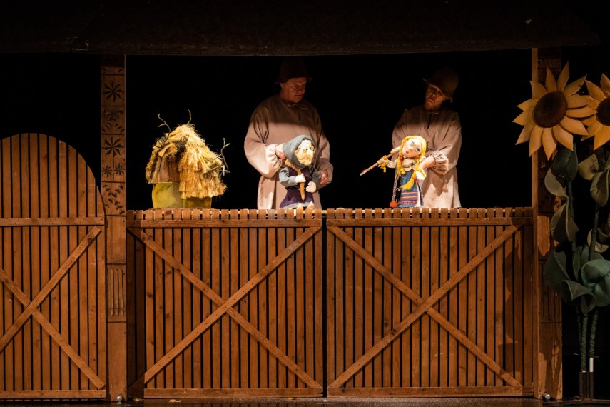 sursa foto: Teatrul Căluțul de mare 