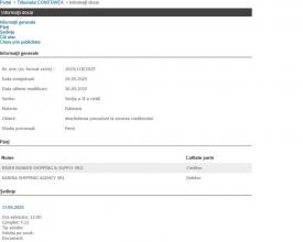 O companie din Slovacia cere falimentul Karina Shipping Agency SRL. Cazul este la Tribunalul Constanța 