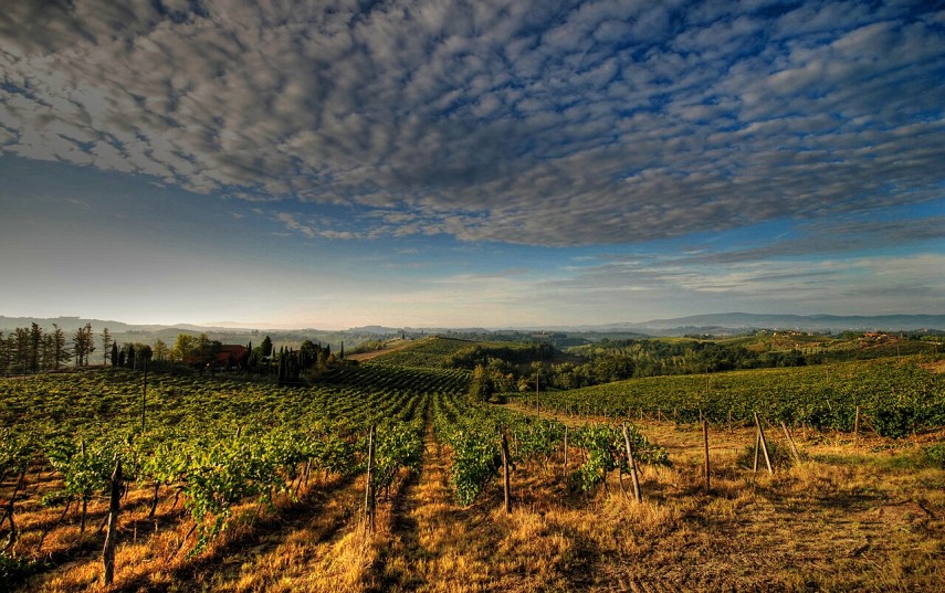 Peisaj deluros în Toscana