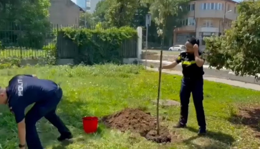sursa foto: IPJ Constanța