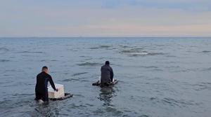 FOTO+VIDEO. Institutul Național de Cercetare -Dezvoltare Marină „Grigore Antipa” Premieră în domeniul acvaculturii într-un parteneriat România-Italia 