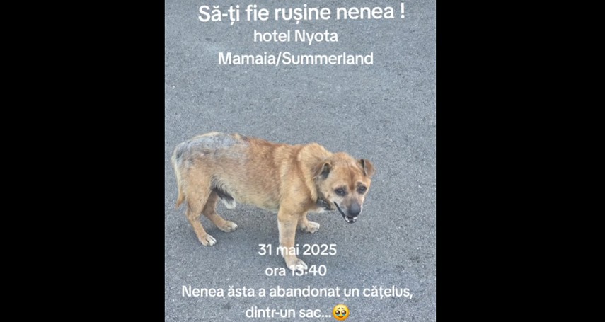 Sursa foto: Captură video/Facebook/Miri Plesea