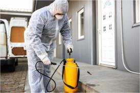 Licitația de peste 70 de milioane de lei organizată de Primăria Constanța pentru dezinsecție, deratizare și tratamente fitosanitare, suspendată în urma unor constestații (DOCUMENTE)