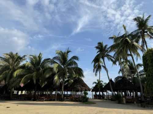 Descoperire ciudată pe câteva plaje din Valencia, Spania. Ce au determinat autoritățile să închidă accesul?