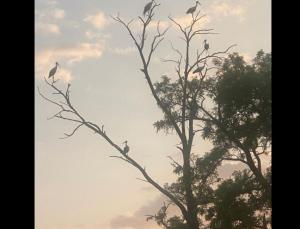 #ConstanțaEsteBine 12 iunie 2025. Încă suntem în energia lunii pline din Săgetător, de ieri