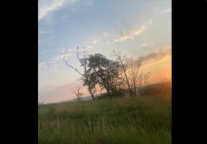 #ConstanțaEsteBine 14 iunie 2025. Continuă luna în scădere și este o perioadă foarte bună de curățenie și eliminări