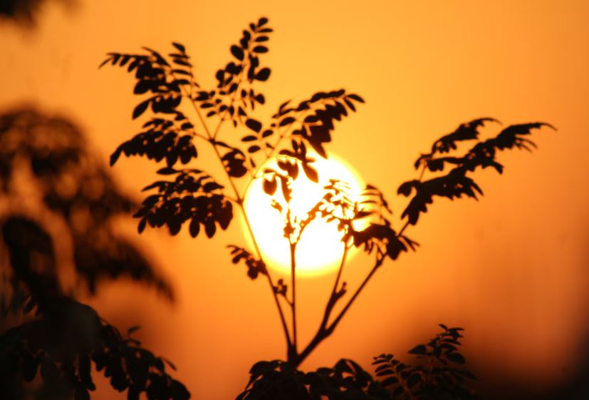 foto: Unsplash 