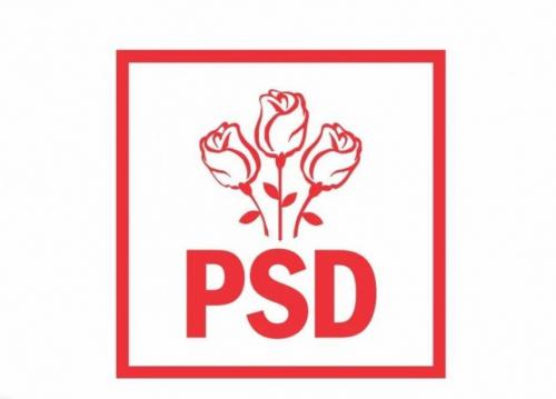 PSD va decide intrarea la guvernare prin referendum intern, după consultările de la Cotroceni