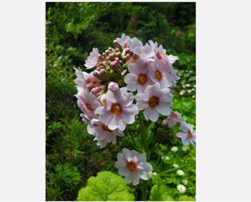 #ConstanțaEsteBine 19 iunie 2025. Perioadă foarte intensă, energetică