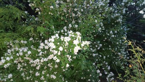 #ConstanțaEsteBine 20 iunie 2025. Ne apropiem de Solstițiul de vară