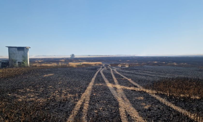 foto: ISU Dobrogea 