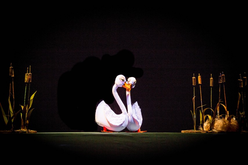 sursa foto: Teatrul Căluțul de Mare