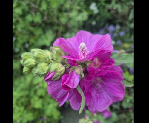 #ConstanțaEsteBine 27 iunie 2025. Cum sunteți după toate eliminările și eliberările din ultima săptămână?