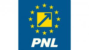 Consiliul Național al PNL a adoptat noul statul al partidului. Aproape 100 de modificări aduse