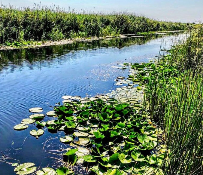 Delta Dunării, Sursa foto: Facebook/ANC