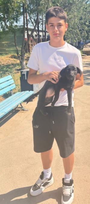 Știri Constanța O altă cățelușă și-a găsit un cămin și o familie iubitoare. Minnie este jucăușă, afectuoasă și plină de entuziasm