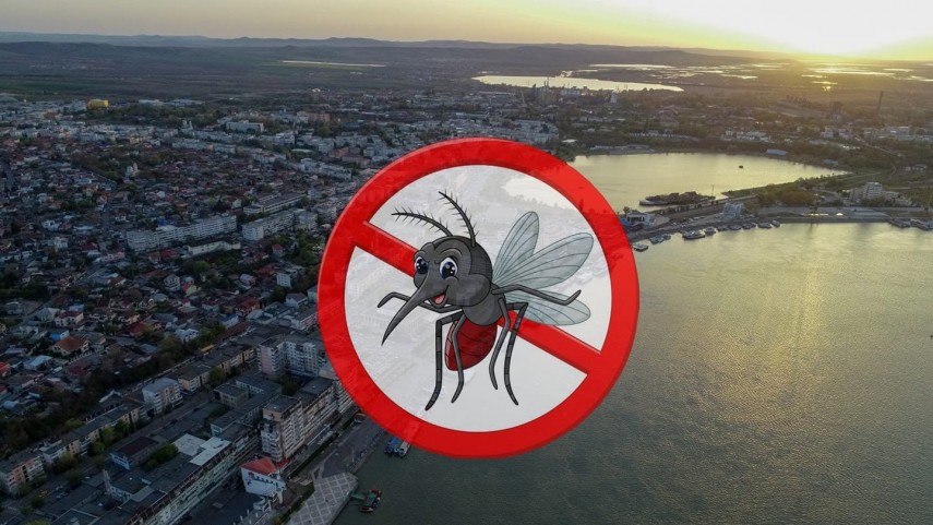 Foto: Facebook/ Primăria Municipiului Tulcea