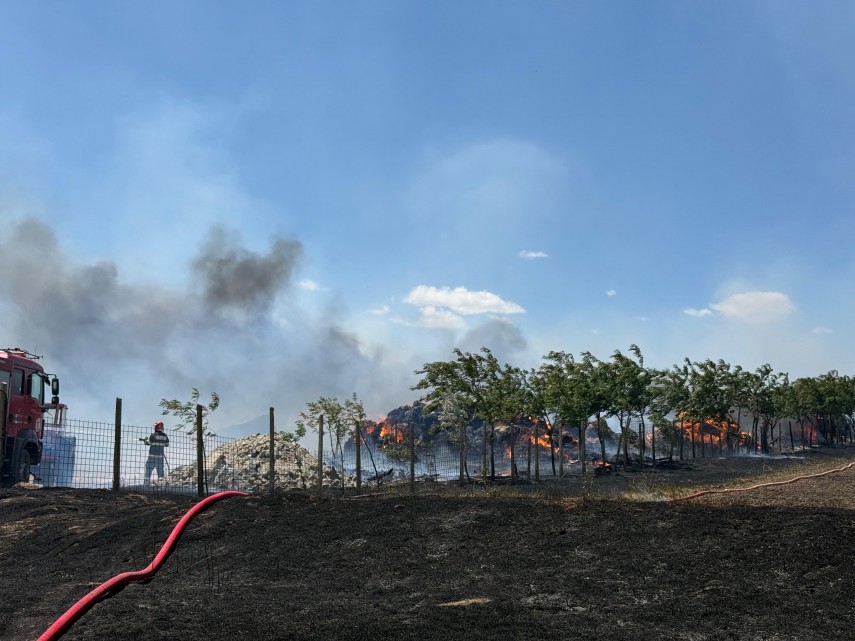 Incendiu Tulcea, Sursa foto: ISU Delta Tulcea