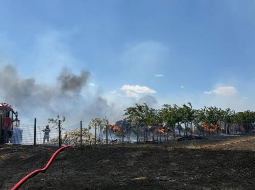 Incendiu de vegetație uscată în Tulcea. O stână de oi, cuprinsă de flăcări (FOTO+VIDEO)     