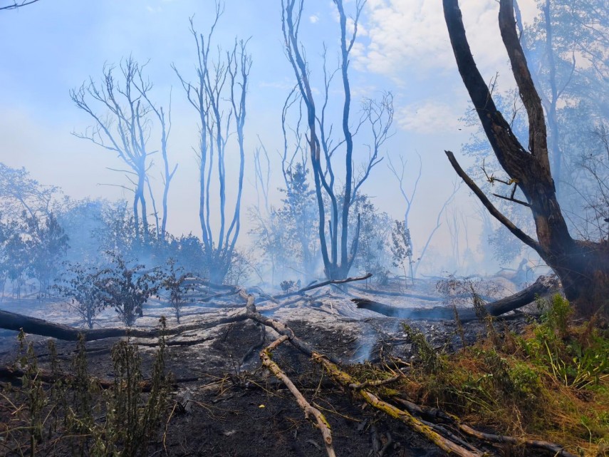 Incendiu, Sursa foto: ISU Delta Tulcea