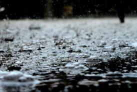 Sursa foto: Pexels/ Imagine cu rol ilustrativ