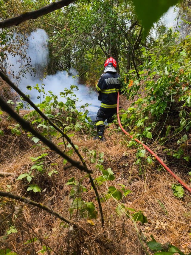 Sursa foto: ISU Delta Tulcea