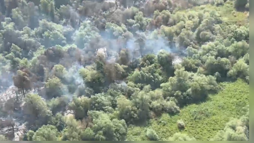 Sursă foto: ISU Tulcea