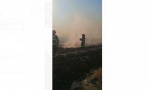 Incendiu de vegetație uscată la marginea municipiului Tulcea. Au fost afectate 36 de hectare 
